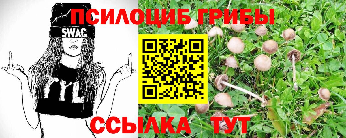 Галлюциногенные грибы мицелий Вольск